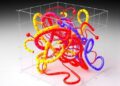 NEML2: Efficient modular multiphysics constitutive modeling for hybrid computing environments