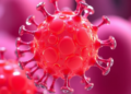 Nanoemulsions Supercharge Plant Essential Oils Against Drug-Resistant Staph Biofilms
