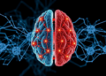 Neural Networks Spontaneously Split Into Context and Sensory Specialists