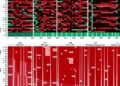 New 154-plex STR sequencing panel enables comprehensive forensic genetic analysis