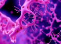 New AI framework DePass cleans and merges multi-omics data across cells and tissues