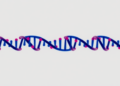 New Database Reveals Hidden RNA Editing in Cancer’s Tiny Messengers