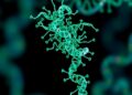 New MFCAMNet predicts miRNA-disease links via cascade attention