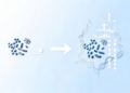 New Microbiome Tool Joins Multi-Omics Data With Sixfold Accuracy Boost
