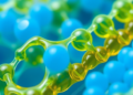 New Open-Access Journal Puts Sustainable Polymers at the Center of Materials Science