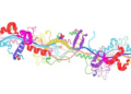 New R Package ChIPSP Maps Gene Regulation in 3D, Revealing Hidden Cancer Targets