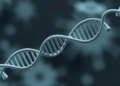 New R Package TrIdent Automates Detection of Virus-Mediated DNA Transfer in Microbiomes