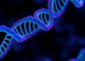 New R package Geneslator simplifies gene ID conversion and annotation