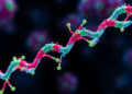 New Statistical Tool Speeds Up Gene Perturbation Screening in Single Cells