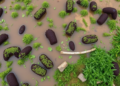 New Study Maps Waterlogging Threats to Ethiopian Farms and Ways to Fight Back