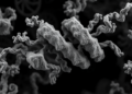 New Synthetic Nanobody Library Streamlines Cryo-EM Studies of Small Proteins