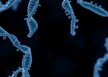 New Tools Pluck Gene Cassettes From Bacteria at Unprecedented Scale