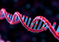 New computational tool reads hidden RNA cleavage signals in health and disease