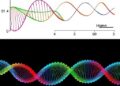 New method counts chromatin loops across the entire genome