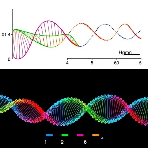 New method counts chromatin loops across the entire genome