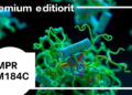 Newly Identified GPCR-Like Protein TM184C Controls Cellular Exchange and Autophagy