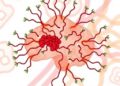 Novel genes link cecal microbiota to lipid deposition, genome-wide study finds