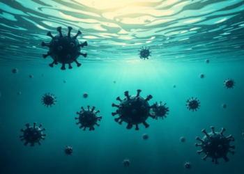 Ocean Viruses Hitch a Ride on Sinking Particles Into the Twilight Zone