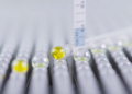 Oil-Filled Microcapsules Outperform PTFE in Week-Long Friction Tests of Conveyor Plastics