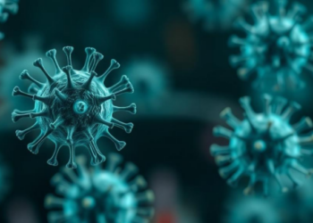 Oncogenic viruses hijack a lysosomal receptor to fuel cancer growth