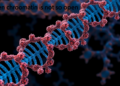 Open Chromatin Is Not So Open: Active Genes Ride on Condensed Domains