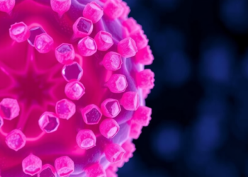 Organoids Rebuild Autoimmune Disease Tissue by Tissue, Opening a Path to Personalized Immunology