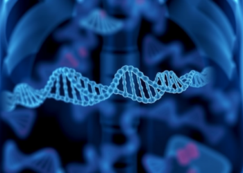PTPN6 Gene Emerges as Potential Prognostic Marker in Bladder Cancer