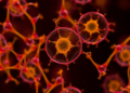 Plant Cell Cultures Emerge as Controllable Factories for Extracellular Vesicles