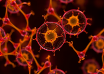 Plant Cell Cultures Emerge as Controllable Factories for Extracellular Vesicles