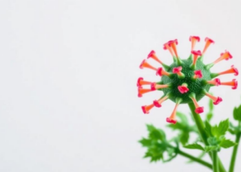 Plant Viruses Already Carry Weapons That Can Blind CRISPR-Cas13