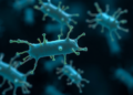 Probiotic Bacterium Defies Tetracycline Through Efflux Pump, Study Finds