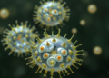 Protozoan Waste Packets Turn Out to Be Shields for Dangerous Bacteria