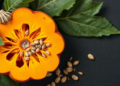 Pumpkin Peel and Seed Waste Yield Antibacterial Compounds and Valuable Oil