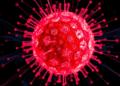Quantum Kernels Sharpen Prediction of CAR T-Cell Killing Power