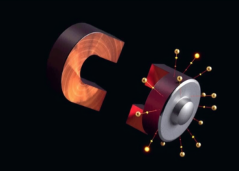 Quantum Magnet Reveals Spinons That Split and Triplons That Bind