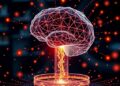 Quantum-powered knowledge distillation compresses hybrid AI models efficiently