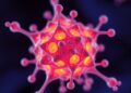 Quinoxalinone nanoparticles target endoplasmic reticulum for tumor photodynamic therapy