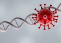 Relapse Parasite Genome Study Reveals Drug Resistance Clues and New Leishbuvirus in Thailand