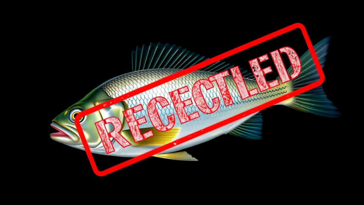 Retracted Fish Nutrigenomics Paper Exposes Undeclared AI Use and Fake References