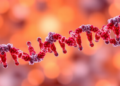 Ribonucleotides Supercharge Cancer Chemotherapy Through Mitochondrial DNA Stress