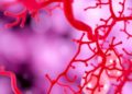 Rigorous Testing Reveals Weak and Inconsistent Microbiome Signals in Lung Cancer Tumours