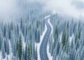 Road expansion has quadrupled fragmentation of Siberian intact forests since 2000