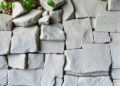 Rock fractures and soil shape water use by karst woody plants
