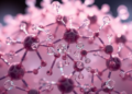 Rod-Shaped Molybdenum Oxide Nanocrystals Crush Toxic Dye Under Simple Visible Light