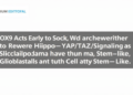 SOX9 Acts Early to Rewire Hippo–YAP/TAZ Signaling as Glioblastoma Cells Turn Stem-Like