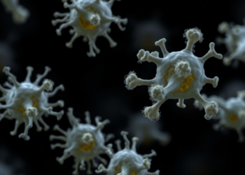 Sappanwood Extract Disarms Staphylococcus aureus by Silencing Virulence and Biofilm Together