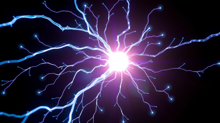 Scientists Combine Light and Electricity to Keep Nerve Stimulation Working Longer