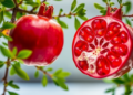Scientists Crack the Code for Growing Pomegranate Tissue in the Lab