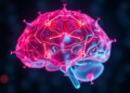 Scientists Rethink Neuronal Senescence as Brain Aging Markers Fail the Test