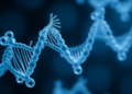 Scientists engineer a miniature CRISPR protein to silence genes and curb hepatitis B